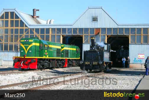 Cuco en Lleida