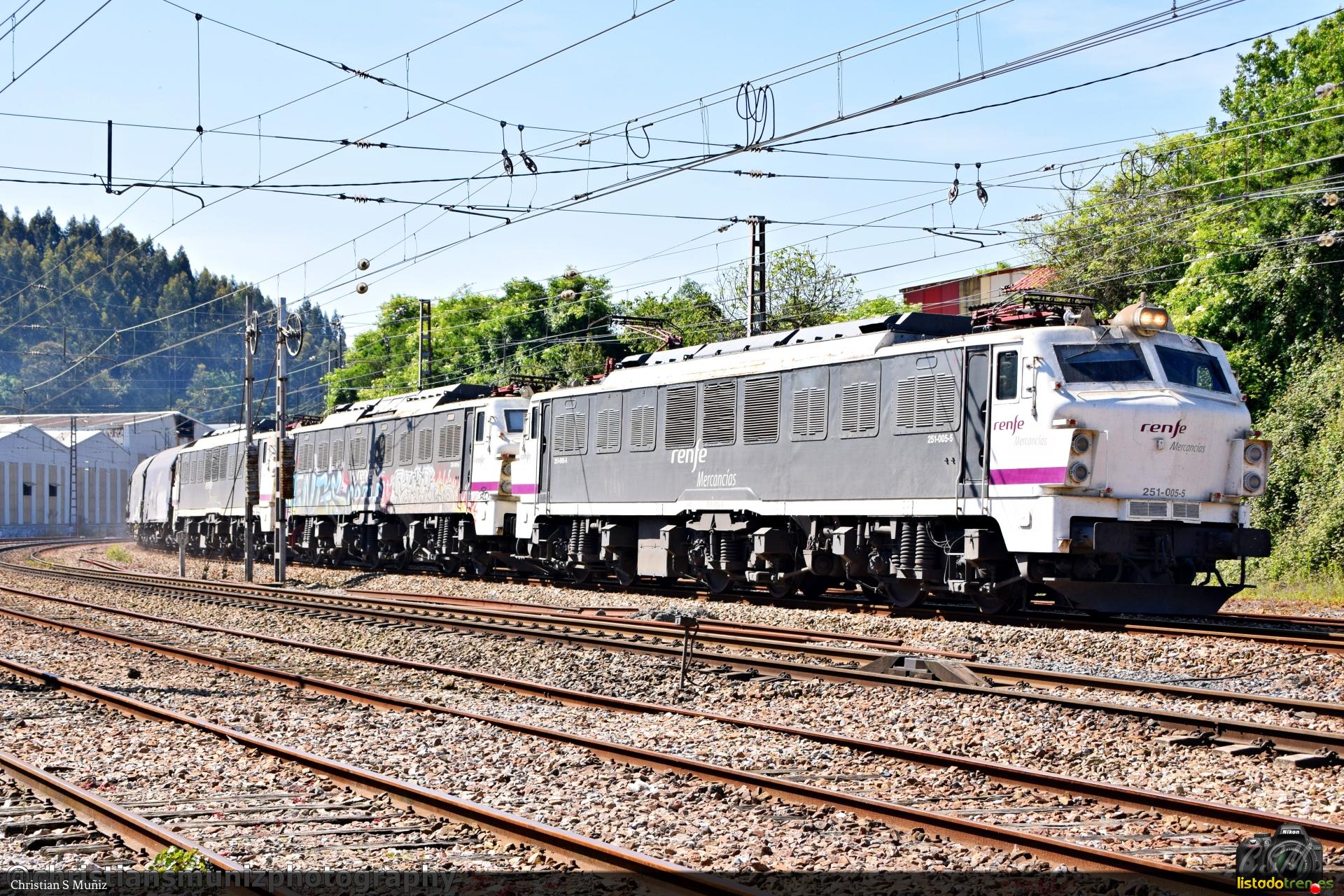 251-005-5 (Nubledo)