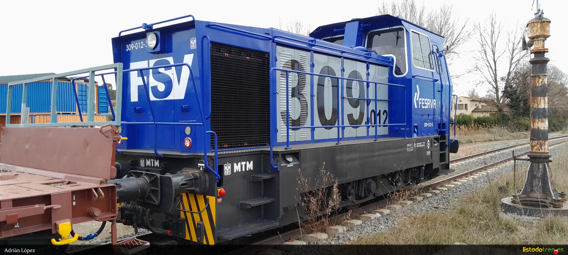 309-012 FSV