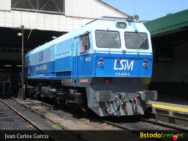319-239