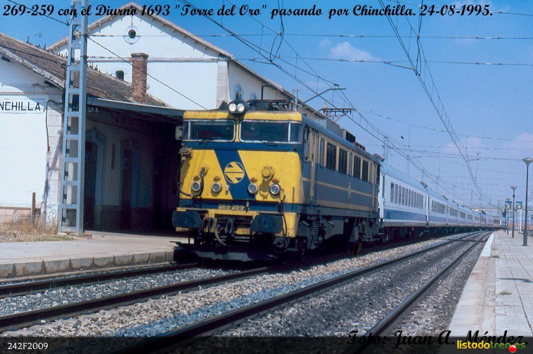 CHINCHILLA 95-1