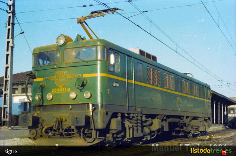 2890119verde