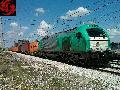 335 TRANSITIA