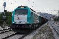 335-004 (Robledo, 2015)