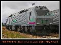 333gotranspor