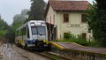 2711/16 Celorio