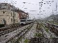 3529