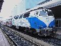 333103TIII